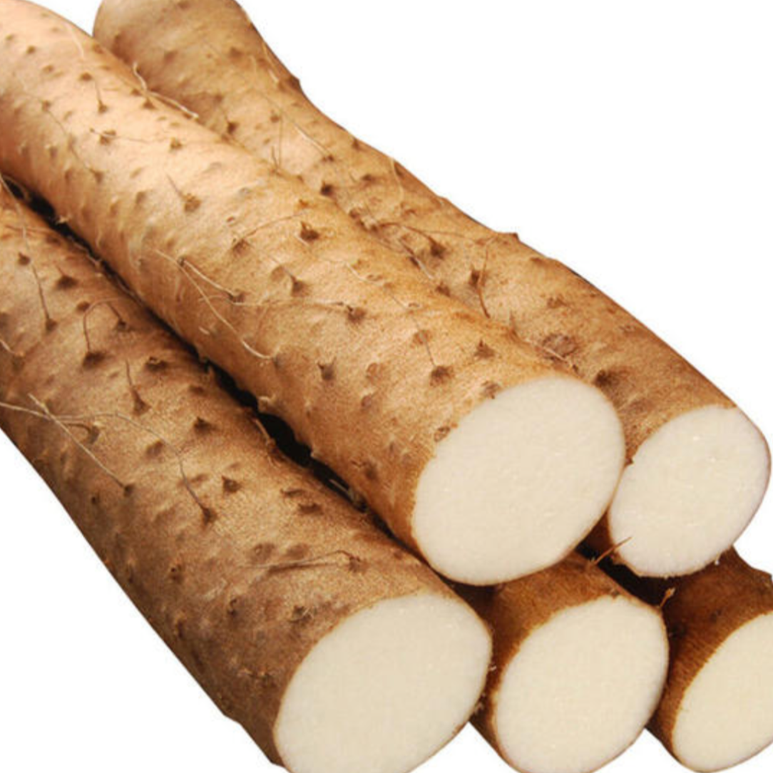 Chinese Yam 山药