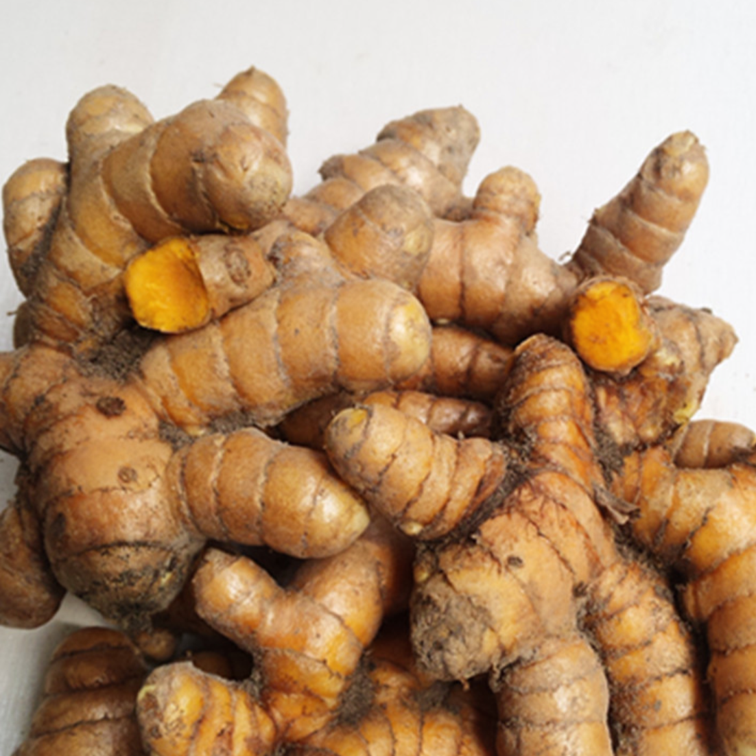 Rhizoma Curcumae Longae Turmeric 姜黄 – Nature's Way Herbal Remedies